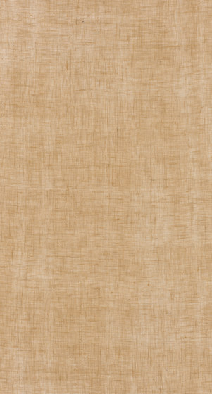 Lino Lino - 0012