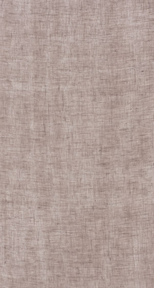 Lino Lino - 0026