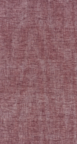 Lino Lino - 0030