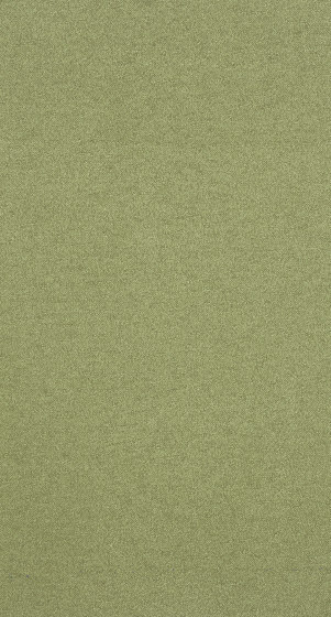 Loox - 0014
