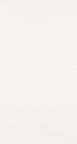 Netnet - 0003