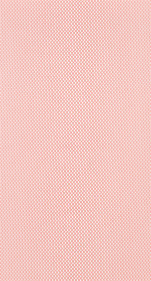 Stanet - 0020