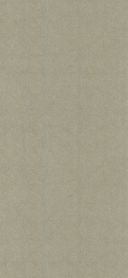 Mahlia Crest - 32534