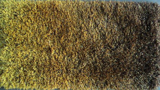 Sauvage dégradé 380020 - 380020