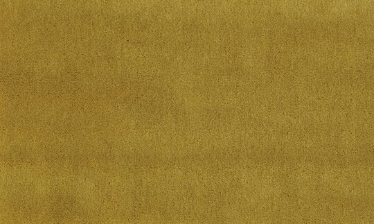 Apollodor - 14300123