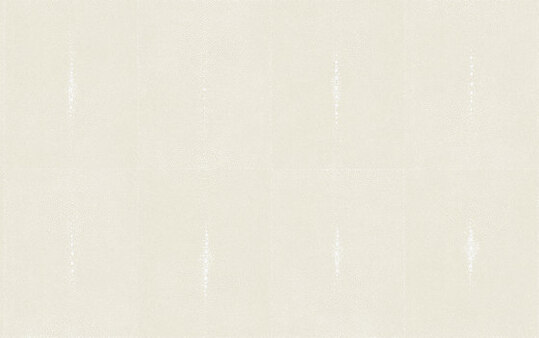 Nature précieuse | Paille japonaise RM 555 04