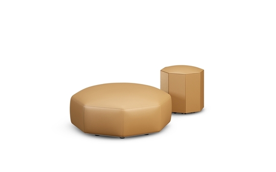 Softcase