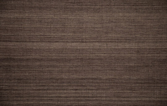 Oculaire Line - 80712