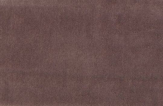 Apollodor - 14300102