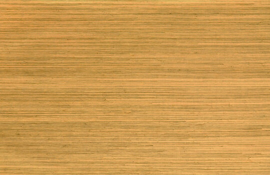 Oculaire Line - 80710