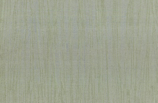 Amazone 2 Pristine - 23523