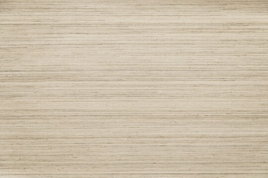 Oculaire Line - 80704