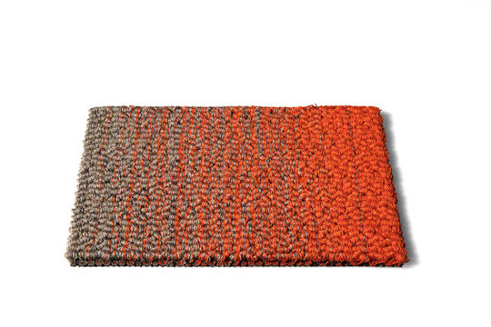 Caméléon Bouclé 330020 6mm