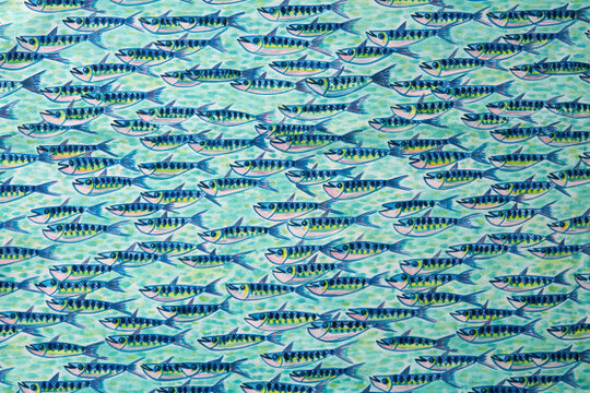 Capsule | Ikan - 14700109