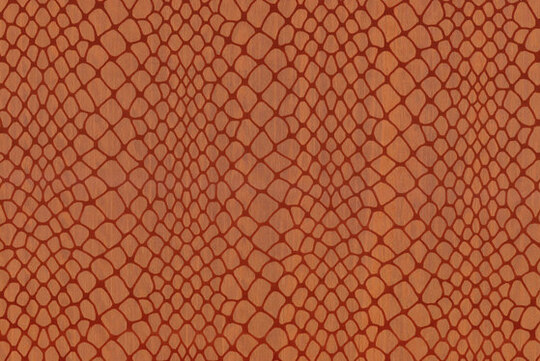 Amazone 2 Maze - 23584