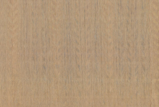 Amazone 2 Fierce - 23503