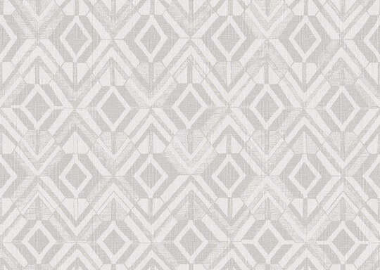 Revera Geo - 47521