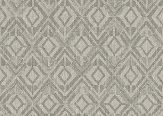 Revera Geo - 47525