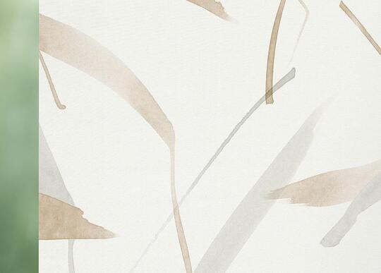 Roller blinds 1240