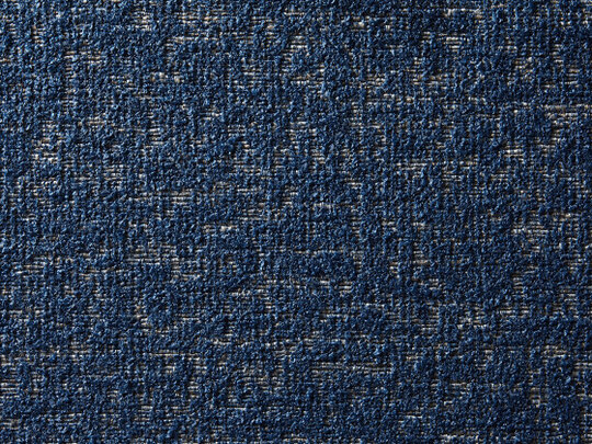 Gobi 555