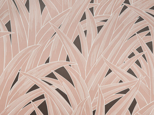 Palmhouse 483