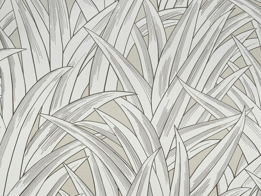 Palmhouse 982
