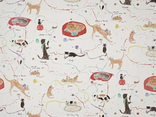 Les petits chats de colette