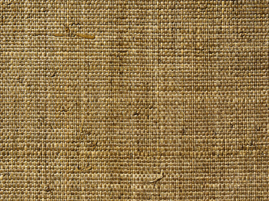 Raffia Weave 716