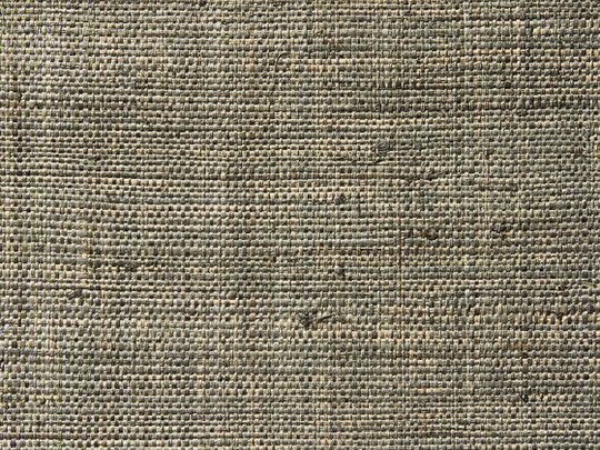 Raffia Weave 984