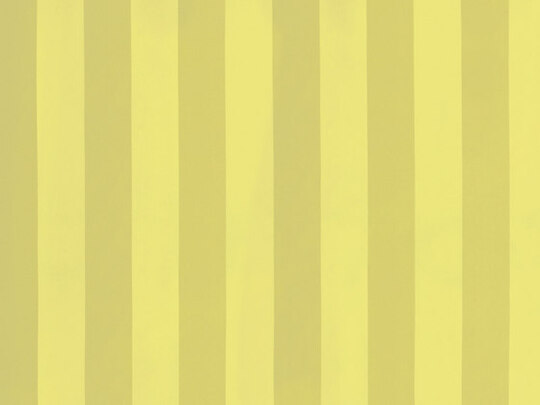 Solice Stripe 793