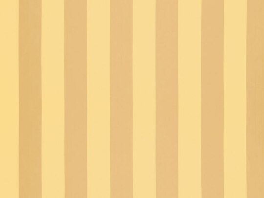 Solice Stripe 813