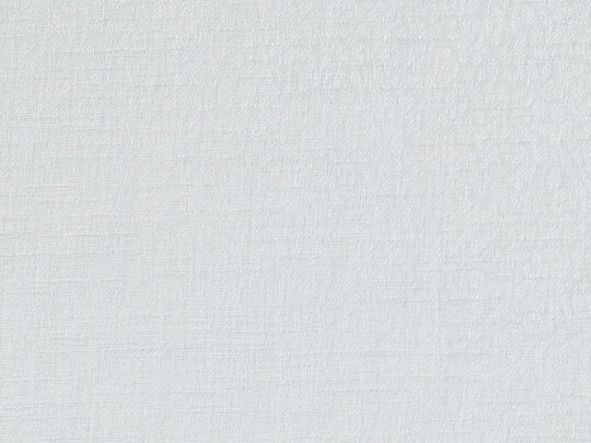 Willow FR 900
