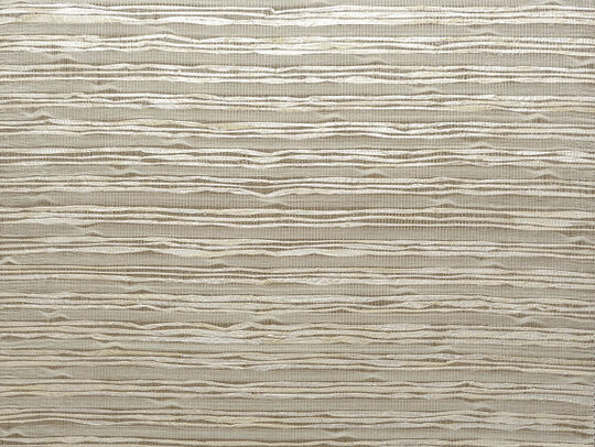Raphia - 48561