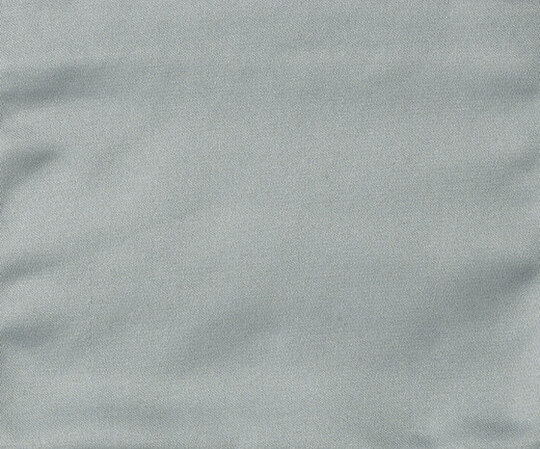 Avienus - 14221101