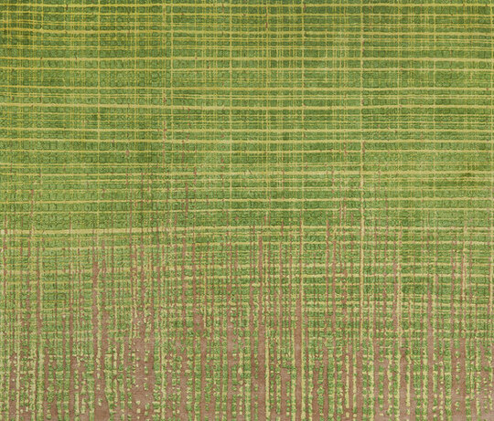 Bidjar | Grid Vendetta