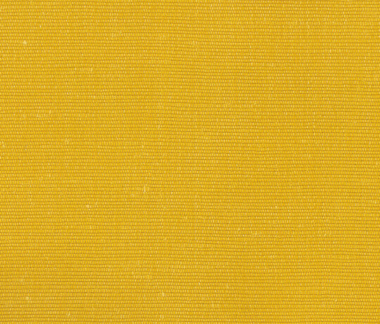 Carlo - Giallo