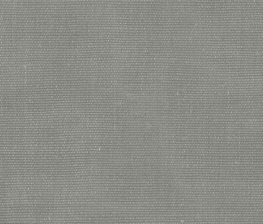 Carlo - Grigio