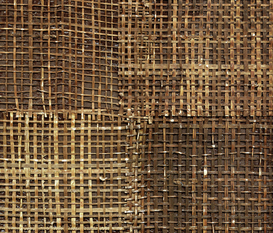 Épure | Pachira RM 666 72