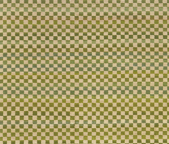 Gamba | Checkerboard