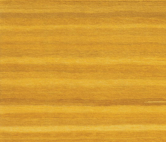 Gamba | Uni
