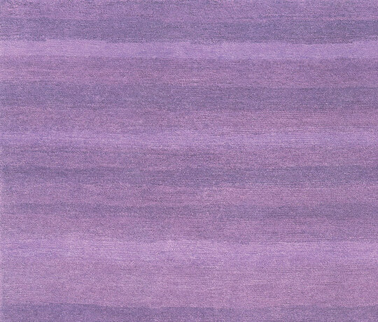 Gamba | Uni