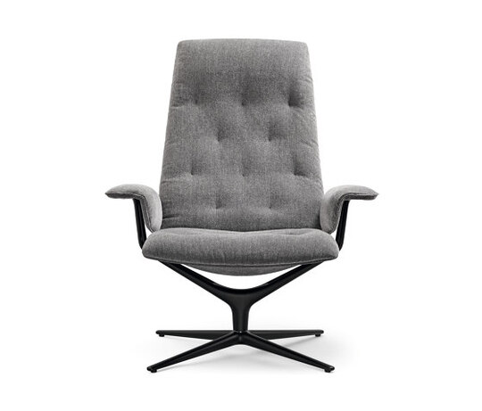 Healey Soft Lounge Chair