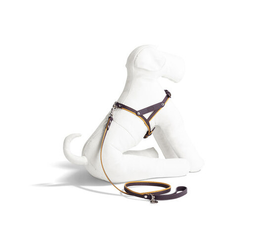 Pet Collection | Harness