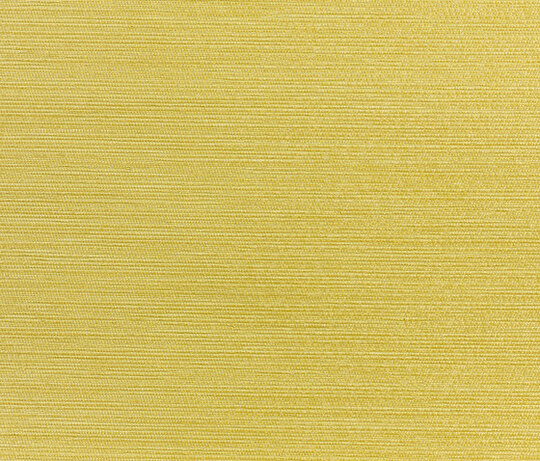 Rafia col. 005