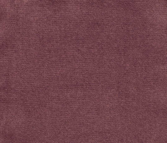 Sansone col. 034