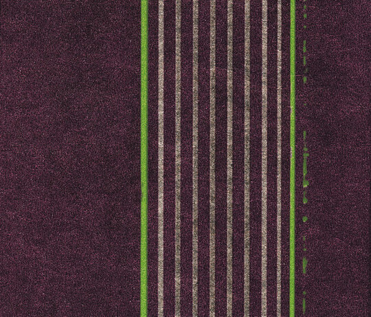 Tempo | Mambo TP 260 05