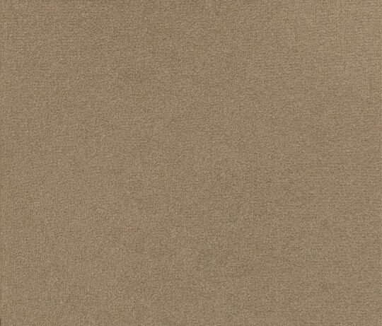 Tsar LB 691 10