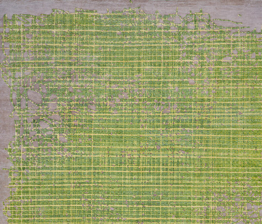 Bidjar | Grid Enjoy