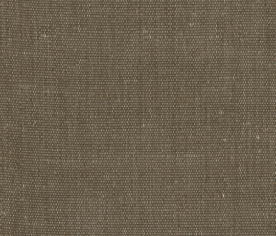 Carlo - Ombra