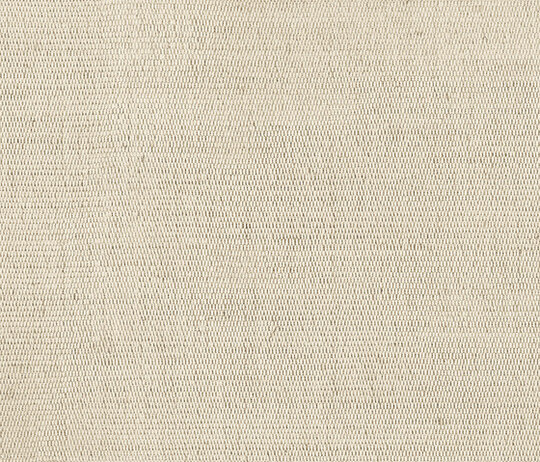 Carlo - Pietra